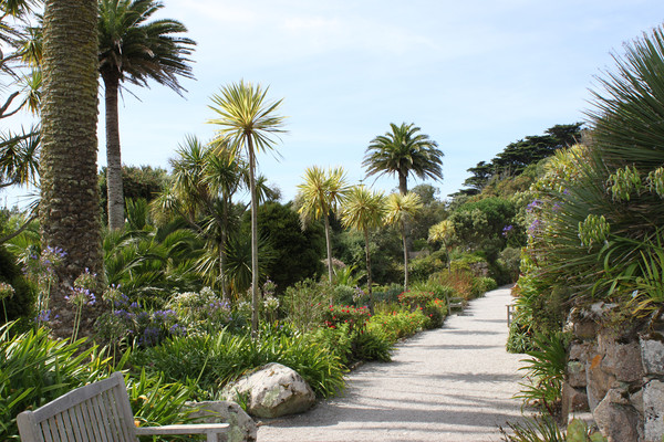 Beautiful Tresco gardens, Isles of Scilly Picture Board by Simon Marlow