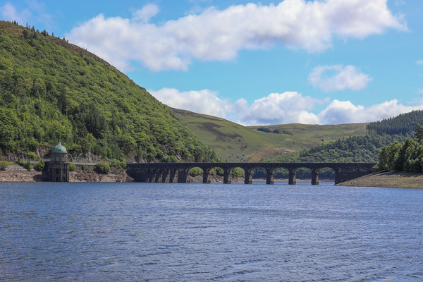 Majestic View of Elan Valley Picture Board by Simon Marlow