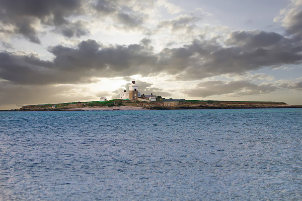 Lighthouse on Coquet Island, Northumberland Picture Board by Simon Marlow