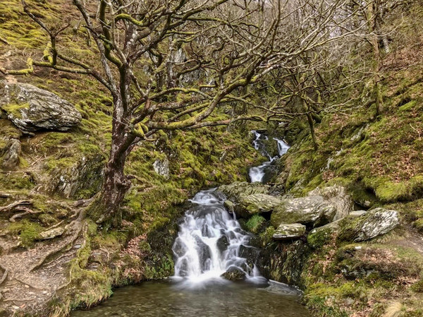 Majestic Waterfall in Elan Valley Picture Board by Simon Marlow