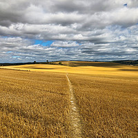 Buy canvas prints of Summer landscape at South Stoke, Oxfordshire by Simon Marlow
