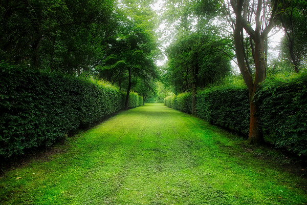 The Enchanting Garden Path Picture Board by Simon Marlow