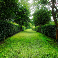 Buy canvas prints of The Enchanting Garden Path by Simon Marlow