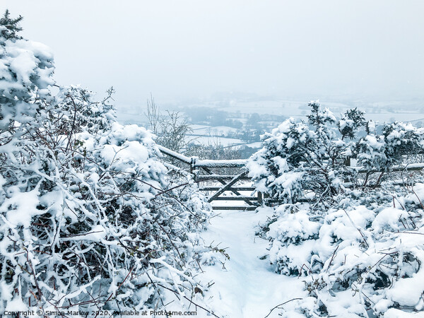 White winter in South Shropshire Picture Board by Simon Marlow