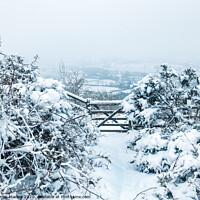 Buy canvas prints of White winter in South Shropshire by Simon Marlow
