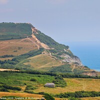 Buy canvas prints of Majestic Views of Stonebarrow Cliffs by Simon Marlow