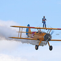 Buy canvas prints of Wing Walking on a classic plane by Simon Marlow