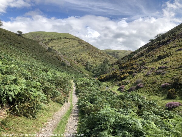 Walking the valley at Long Mynd Picture Board by Simon Marlow