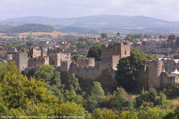 A view looking down on Ludlow Castle Picture Board by Simon Marlow