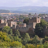 Buy canvas prints of A view looking down on Ludlow Castle by Simon Marlow