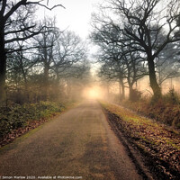 Buy canvas prints of The road into the unknown taken at Burghfield Comm by Simon Marlow