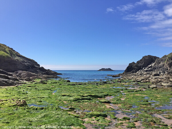 Tranquil Haven at Hope Cove Picture Board by Simon Marlow