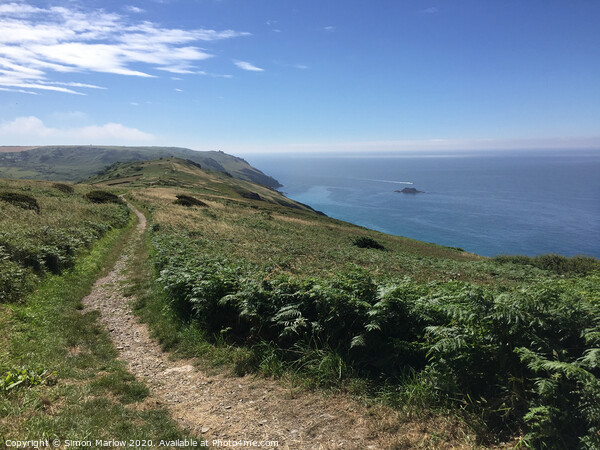 Walking along the South Devon Coastal path at Salcombe Picture Board by Simon Marlow