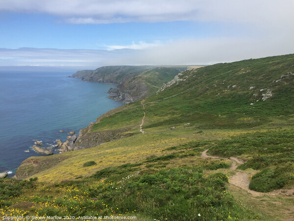 Walking along the South Devon Coastal path at Salcombe Picture Board by Simon Marlow