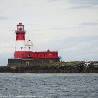 Buy canvas prints of Majestic Inner Farne Lighthouse by Simon Marlow