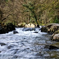 Buy canvas prints of A view up the river at Bewts y Coed, Wales by Simon Marlow