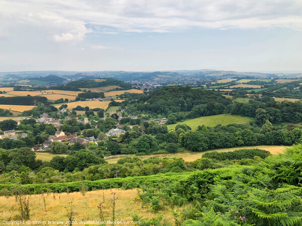 A view from Colmers Hill in Dorset Picture Board by Simon Marlow