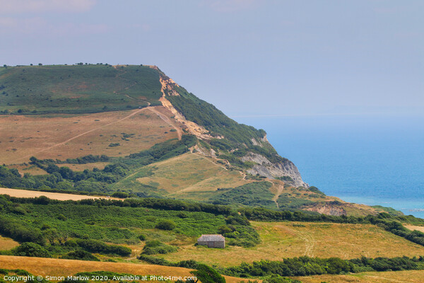 The cliffs at Stonebarrow on the Dorset Coast Picture Board by Simon Marlow