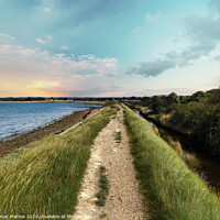 Buy canvas prints of Nutbourne marshes and Cobnor Peninsula by Simon Marlow