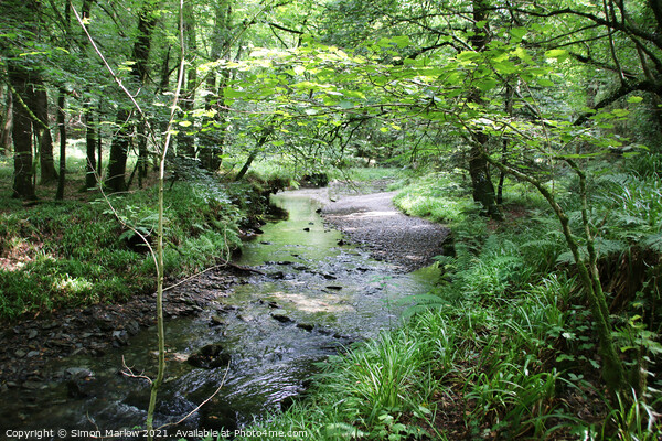 Enchanting Lydford Gorge Picture Board by Simon Marlow