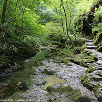 Buy canvas prints of Enchanting Lydford Gorge by Simon Marlow