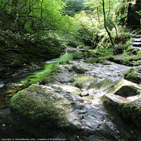 Buy canvas prints of Mystical Lydford Gorge by Simon Marlow