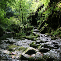 Buy canvas prints of Lydford Gorge by Simon Marlow