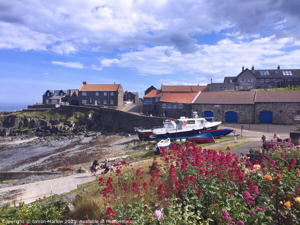 Craster Harbour Picture Board by Simon Marlow