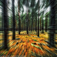 Buy canvas prints of Enchanted Forest Journey by Simon Marlow