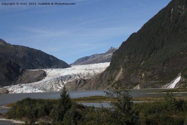 Mendenhall glacier; Juneau, Alaska Picture Board by Arun 