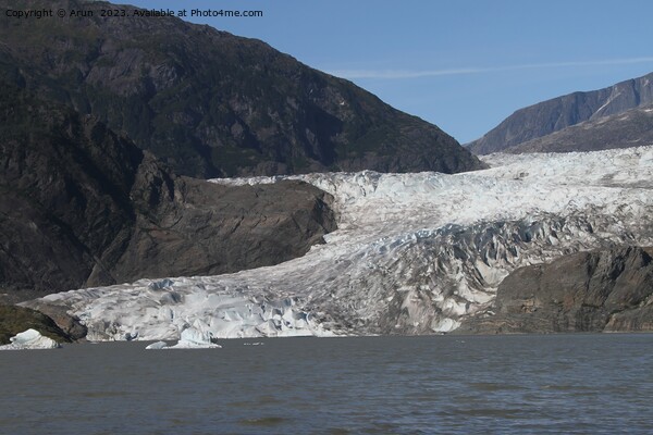 Mendenhall glacier; Juneau, Alaska Picture Board by Arun 