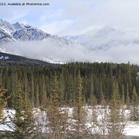 Buy canvas prints of Banff Canada by Arun 