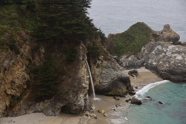 McWay falls along Big Sur coast California Picture Board by Arun 