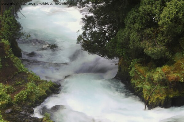 Sahelie falls, Deschutes Wilderness, Picture Board by Arun 
