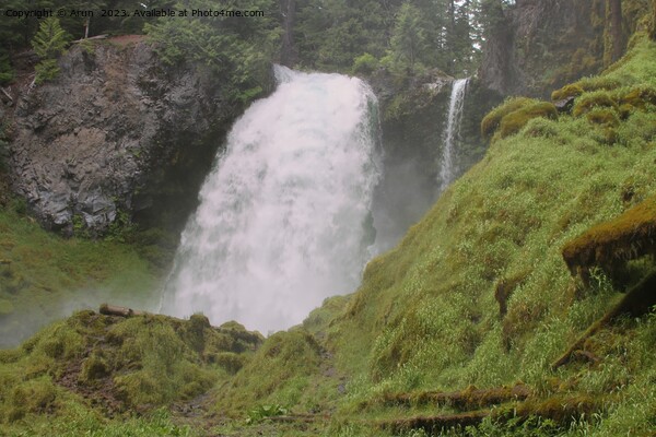 Sahelie falls, Deschutes Wilderness, Picture Board by Arun 