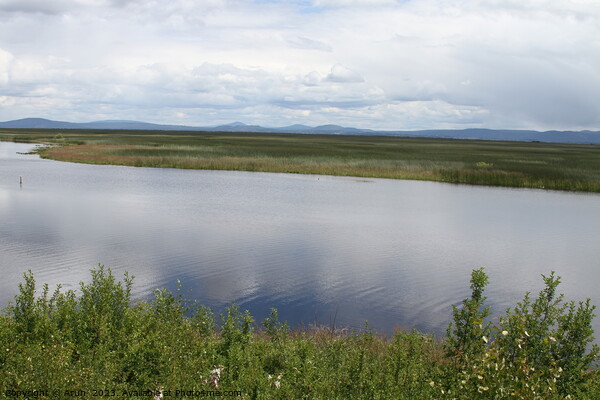 lake on the klamath basin Picture Board by Arun 
