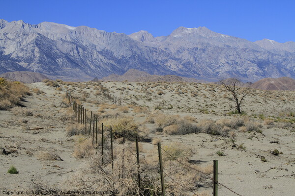 Mountain range in Death valley California Picture Board by Arun 