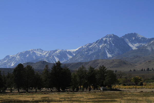 Mountain range in Eastern Sierras California Picture Board by Arun 