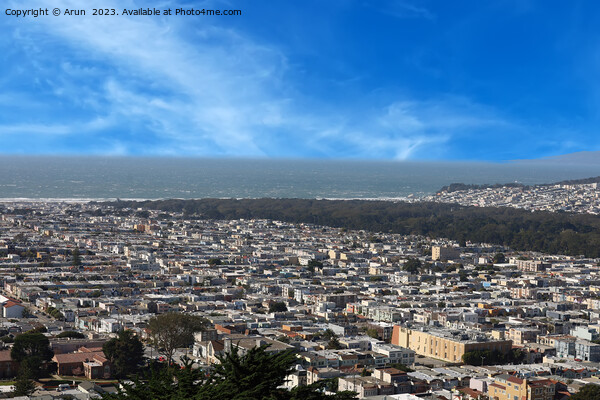 City of San francisco  Picture Board by Arun 