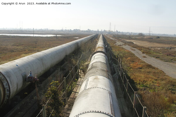 Industrial zone - water pipeline Dumbarton bridge Picture Board by Arun 