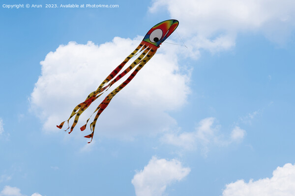 Kite Festival Picture Board by Arun 