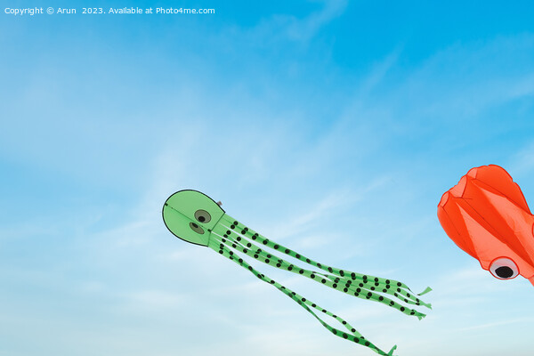 Kite Festival Picture Board by Arun 