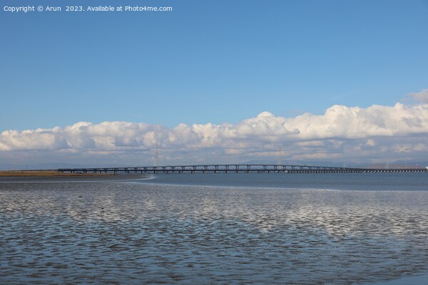 Dumbarton bridge from ravenswood park california Picture Board by Arun 