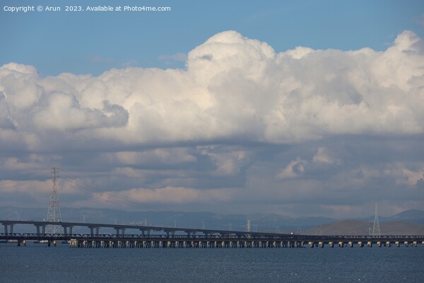 Dumbarton bridge from Ravenswood park california Picture Board by Arun 