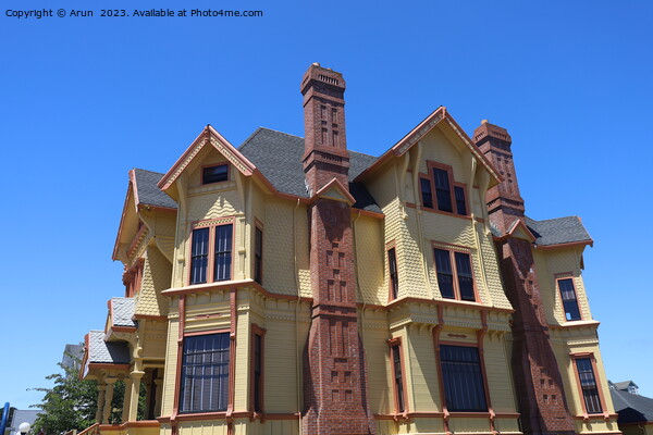 Historic buildings in Eureka in Humboldt county califonia Picture Board by Arun 