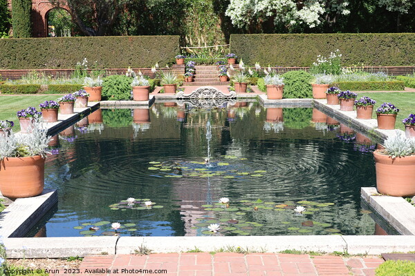  Gardens and buildings at  Filoli, California Picture Board by Arun 