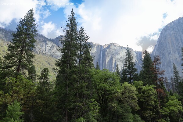 Yosemite in Spring Picture Board by Arun 