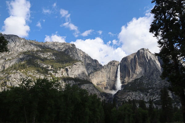 Yosemite in Spring Picture Board by Arun 