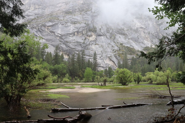 Yosemite in Spring, Mirror lake Picture Board by Arun 