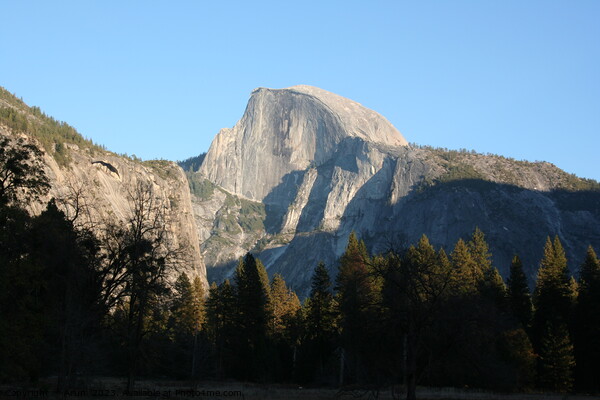 Yosemite Picture Board by Arun 